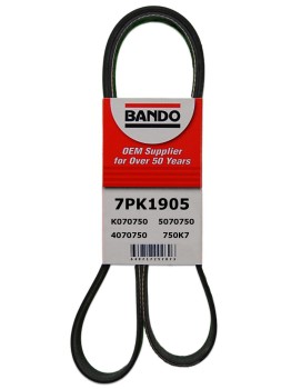 Shop 7PK1905 Accessory Drive Belt Online