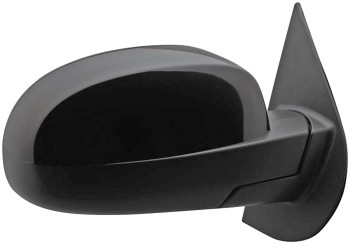 Dorman® 955-1481 Door Mirror